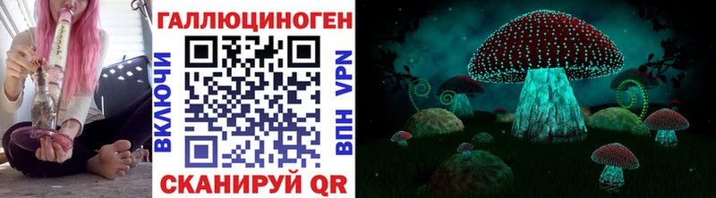 Псилоцибиновые грибы Magic Shrooms  Чегем 